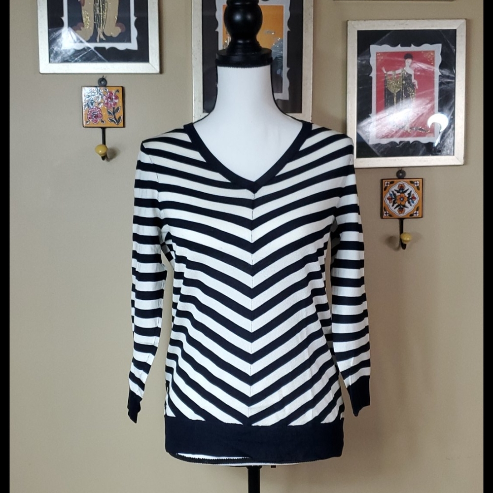 The Limited black & white stripped v neck shirt